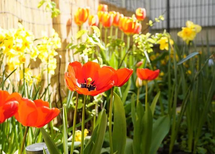 Charming Flat Priv Garden 15 Min To Center Apartman *