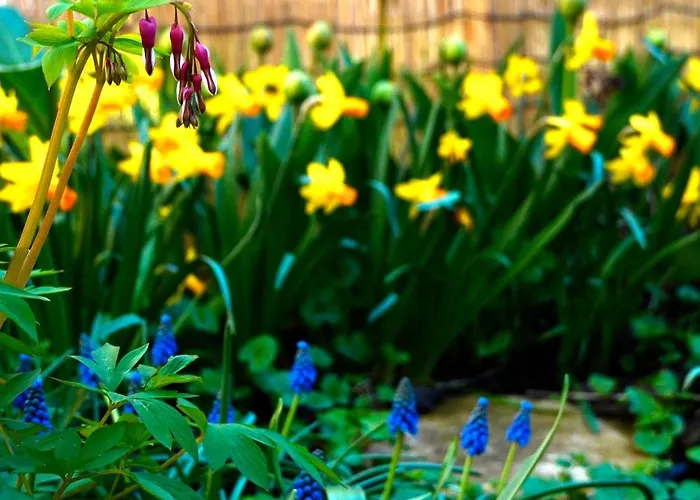 Apartman Charming Flat Priv Garden 15 Min To Center